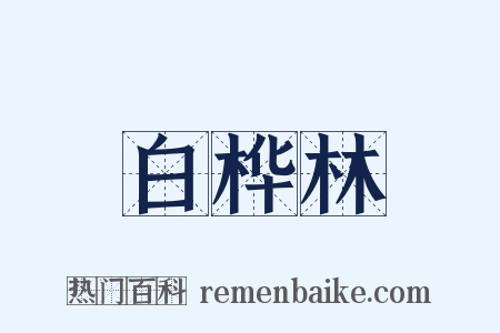 白桦林是什么意思的图片